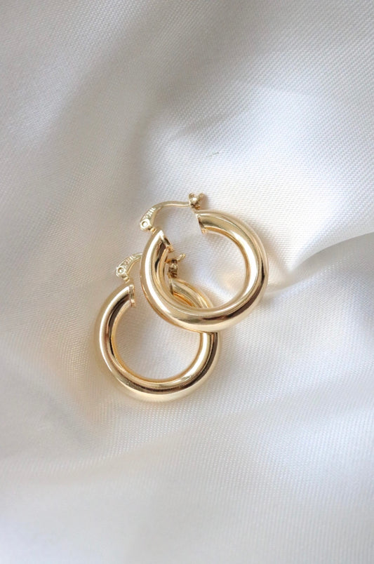 Golden Hoop Earrings