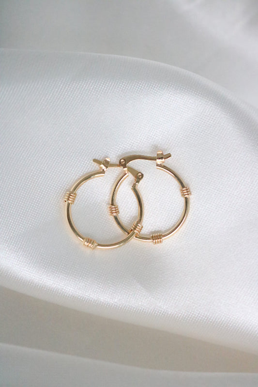 Fine Golden Hoop Earrings